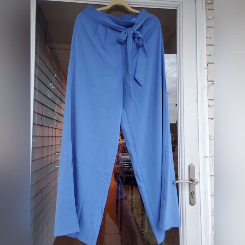 Palazzo style dress pants